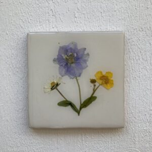 Bloementegeltje wit boterbloem
