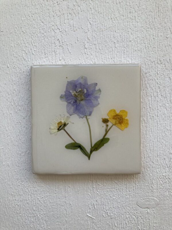 Bloementegeltje wit boterbloem