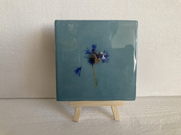 Bloementegeltje blauw korenbloem - Afbeelding 2